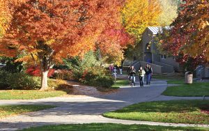 RCC's Redwood campus arboretum in the fall