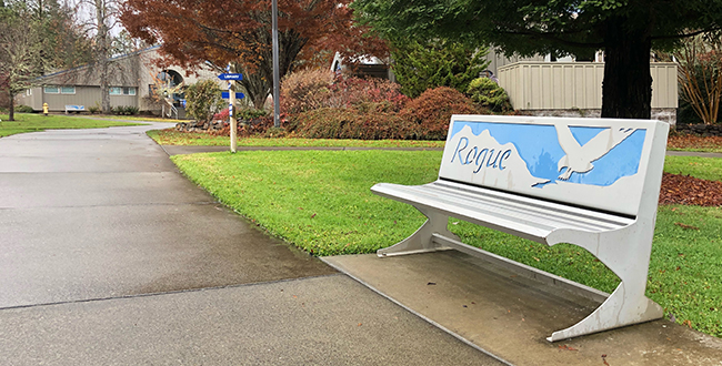 Osprey benches designed by Phil Nelson are dotted throughout the pathways of Redwood Campus.